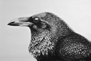 "Best in Crow" Lancaster art show winner by Deborah Diana