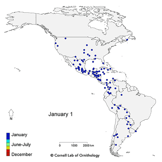 Migration Map Based on eBird Data