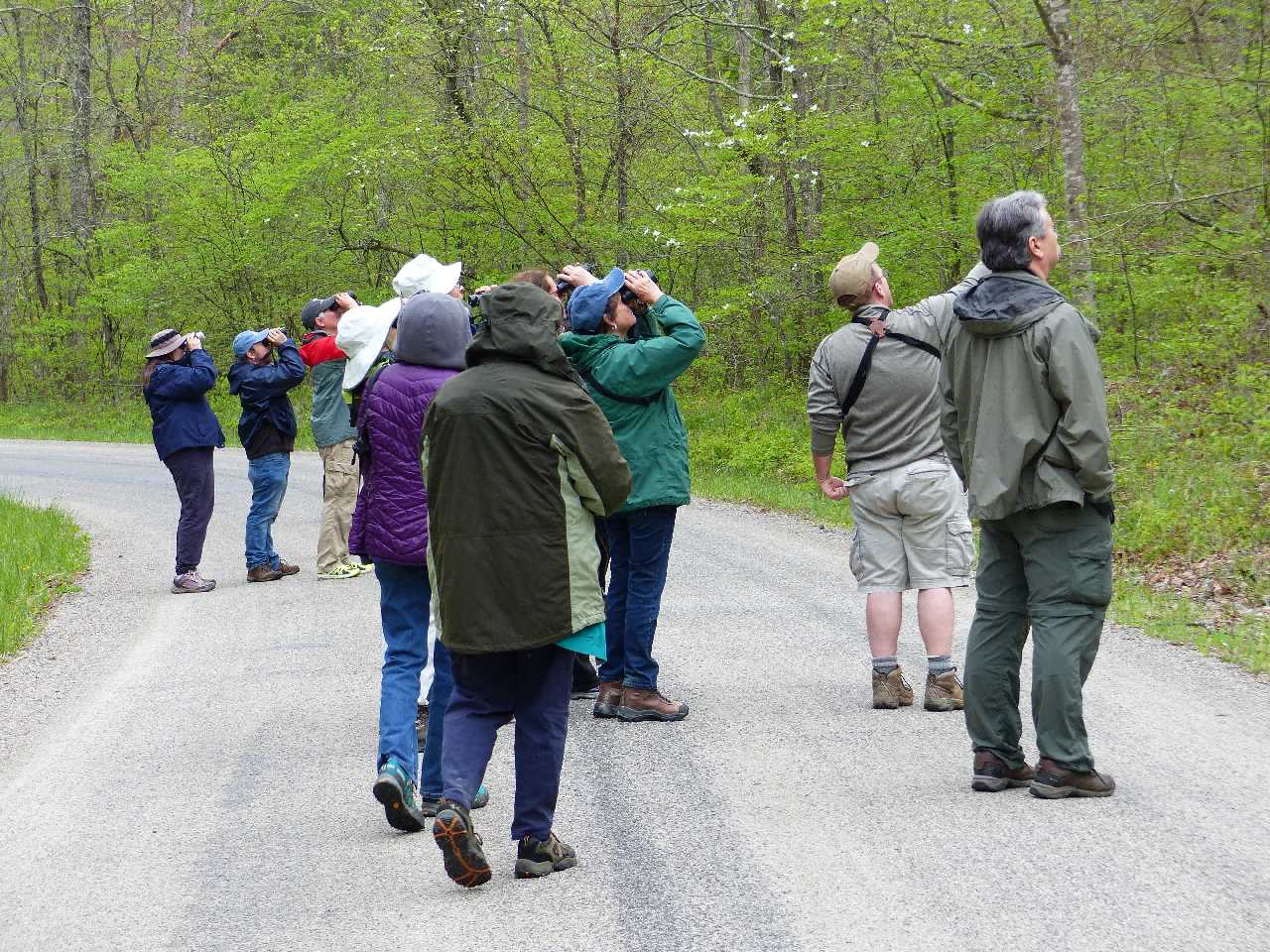 Pointing Out a Warbler in Shawnee State Forest
