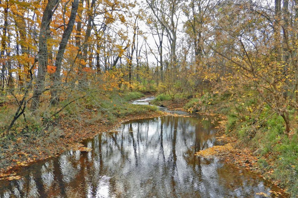 Delaware Preservation Parks - Blues Creek Preserve