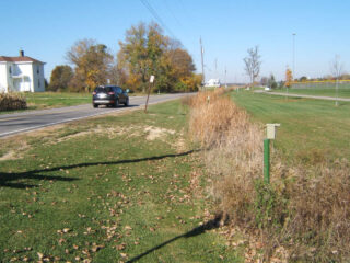 Nest Boxes along the road at Smith Park - Photo Dick Tuttle