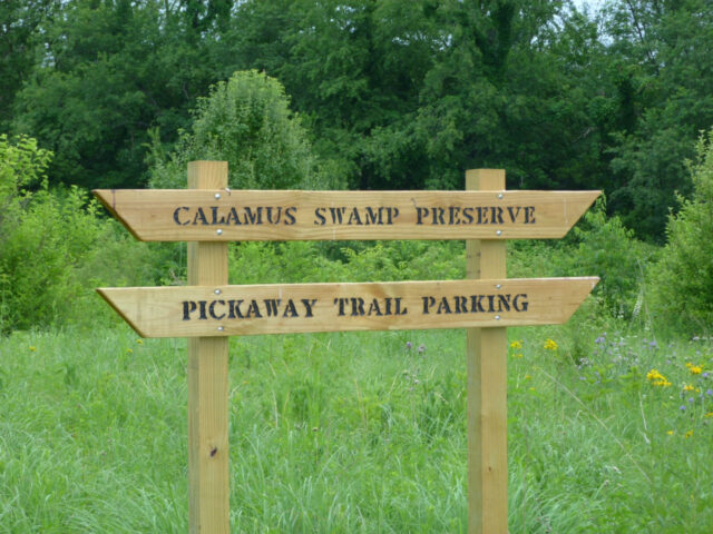 Sign at the entrance to Calamus Swamp