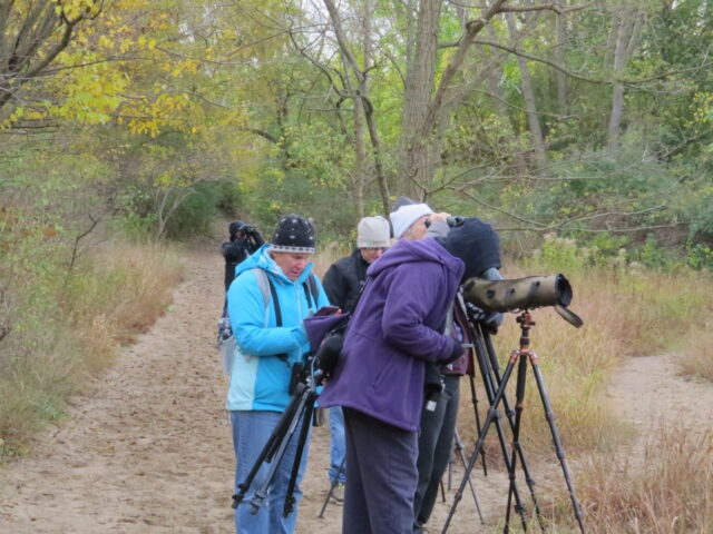 Avids Checking the Facts - Photo Lisa Phelps