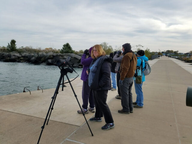 Avids on Watch at Lorain Harbor - Photo Andy Sewell