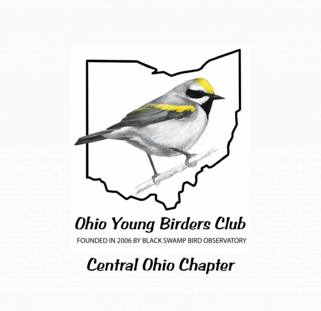 OYBC Logo - Central Chapter