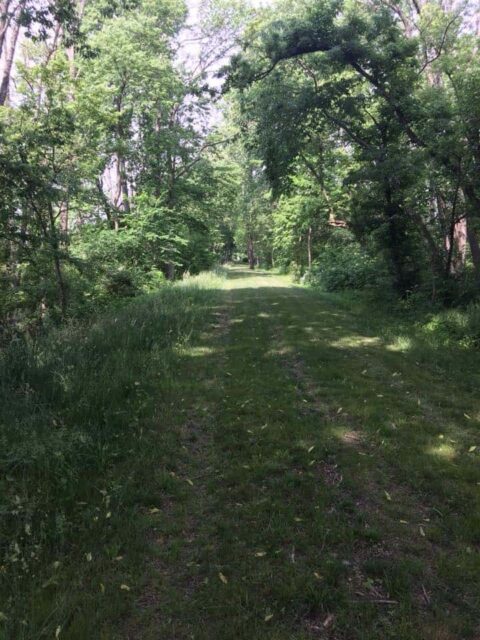 Trail at Calamus - Photo Trudy Brandenburg