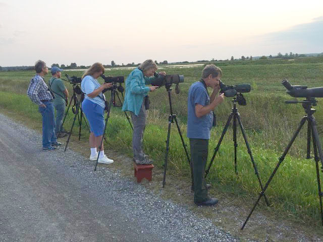 Birding Killdeer Plains by Jennifer Kuehn