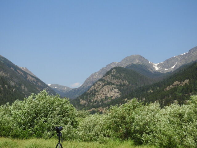 Mountain Scenery - Photo Adriana Losey