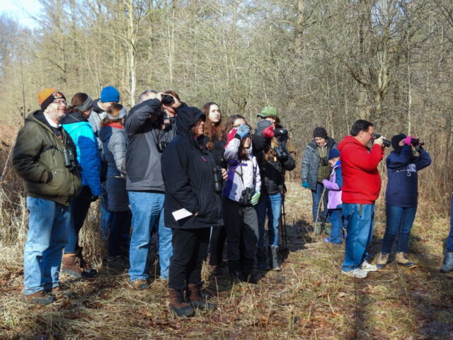 Checking the Pine Grove at Killdeer