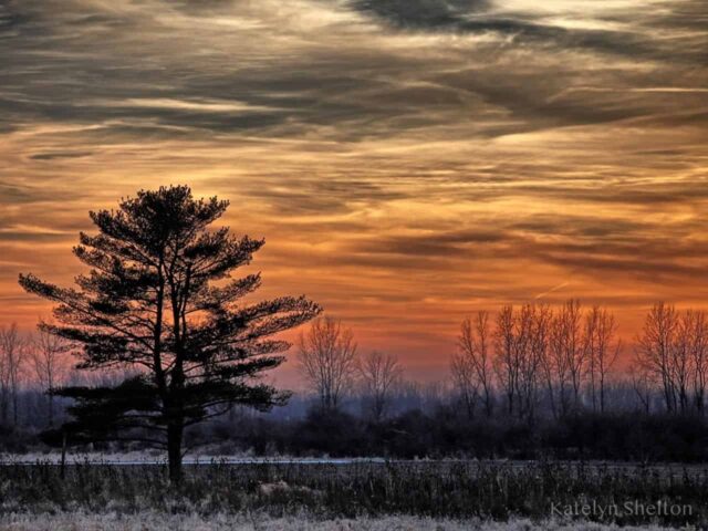 Sunset at Killdeer - Katelyn Shelton