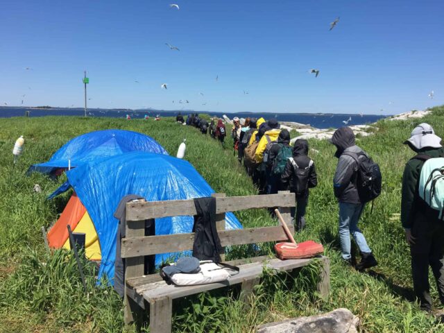 Hog Island Campers