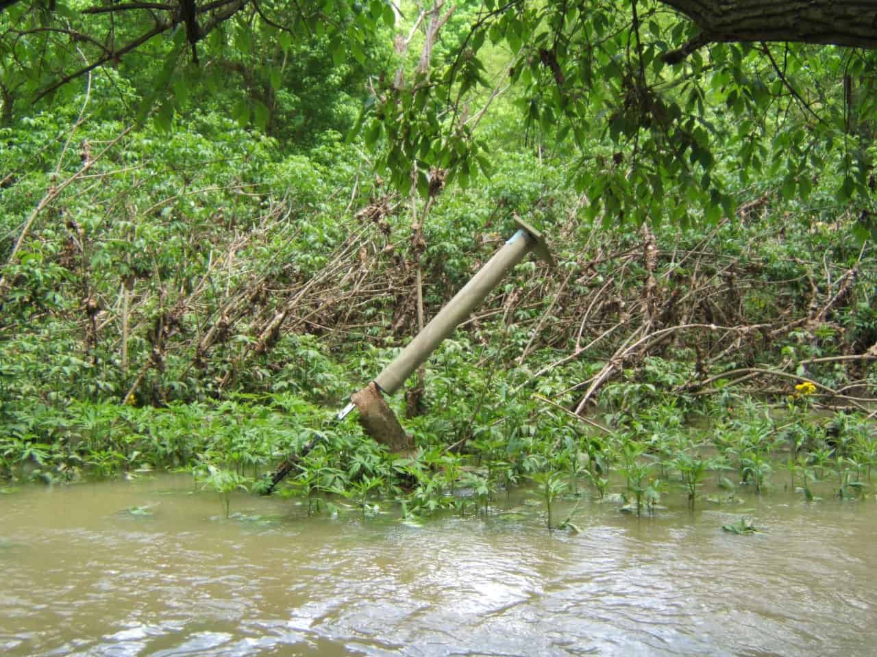 Nest Box Pushed by High Water