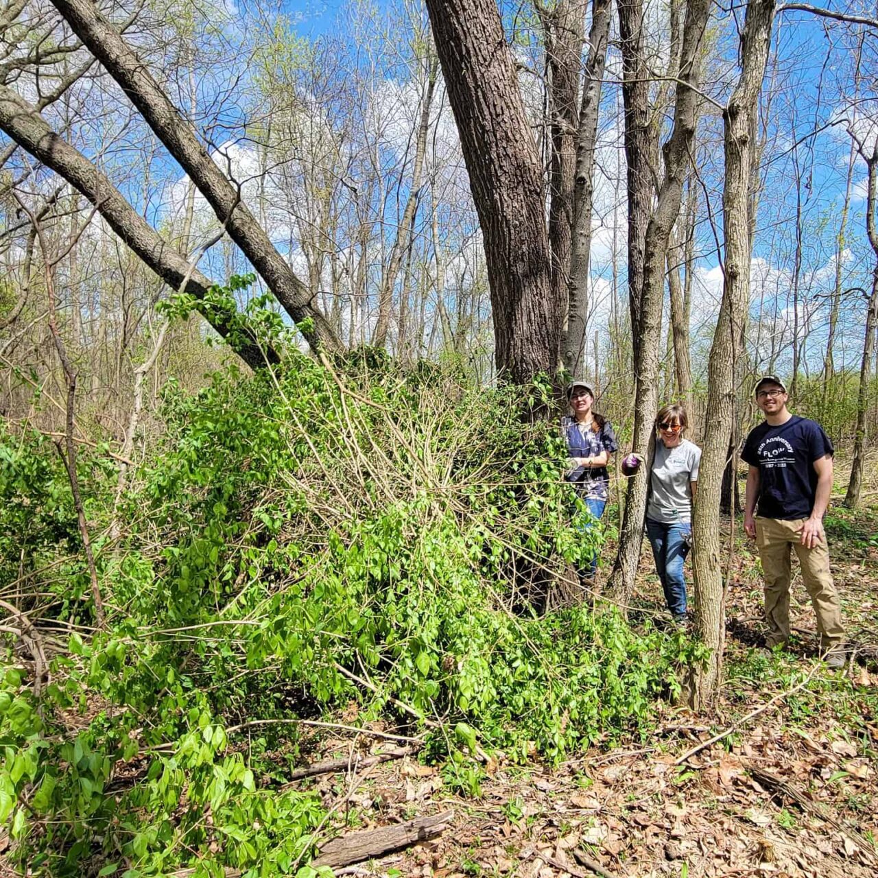 Calamus April 15 2023: Fruits of Our Labor