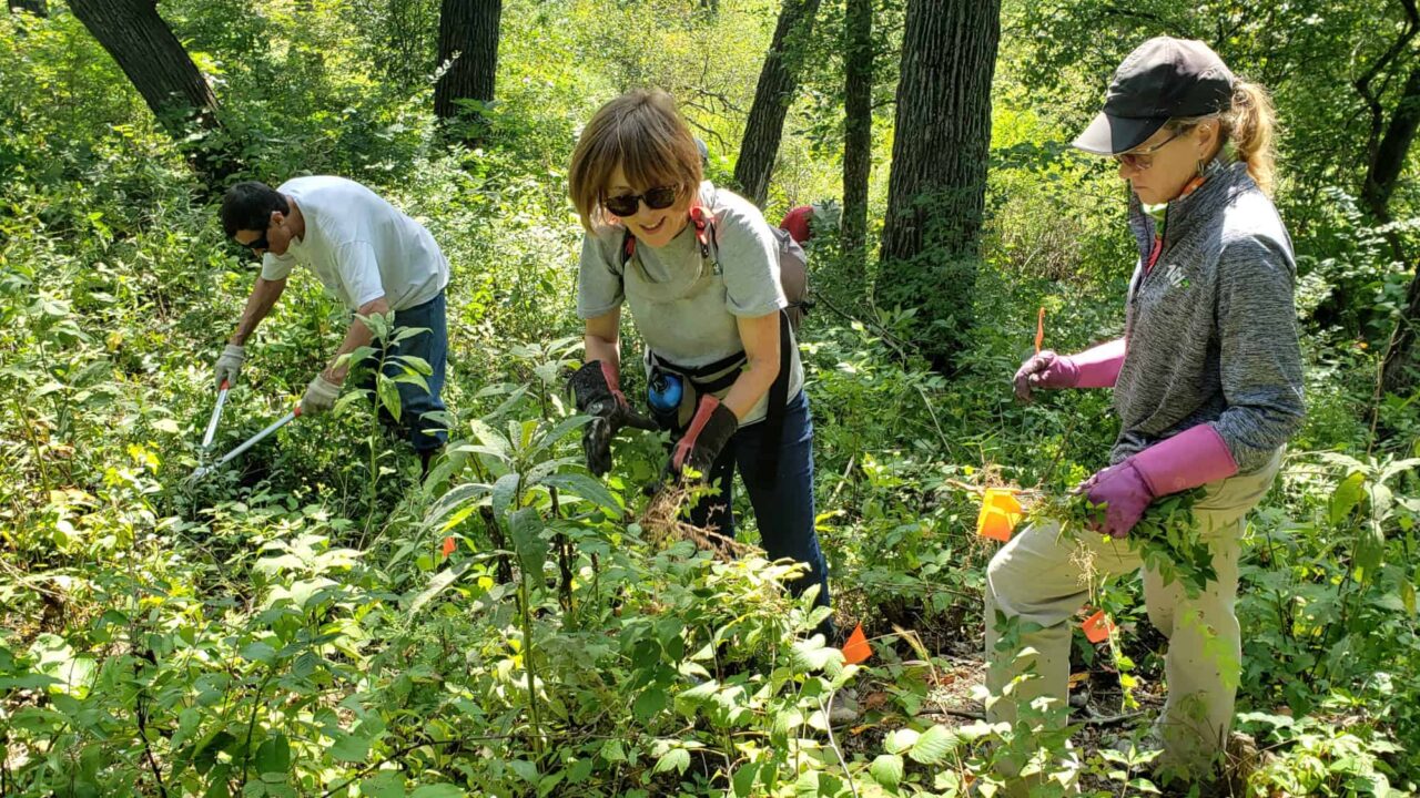 Service in the Preserves: Hard At Work - Photo Natalia Nekrasova