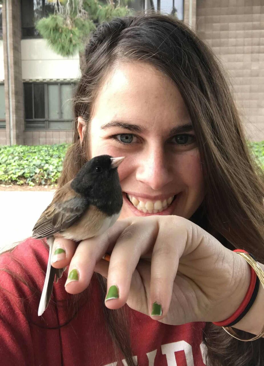 Eleanor Diamant with Dark-eyed Junco