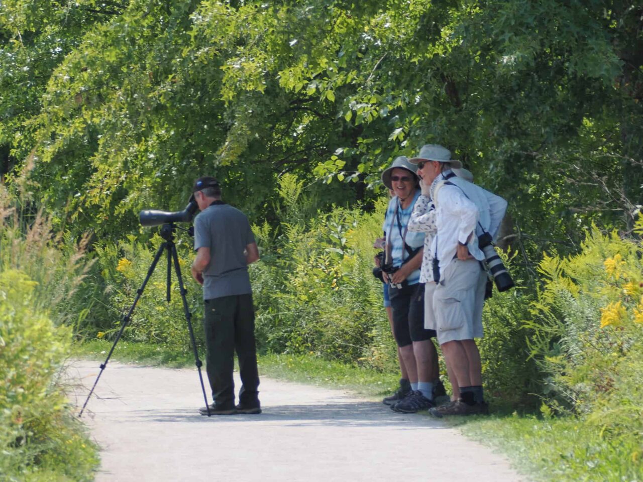 Avids find some shade!