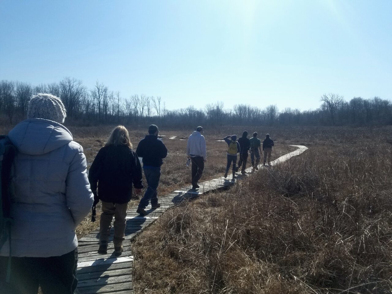 Prairie Road Fen