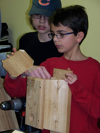 The author hard at work on a nest box