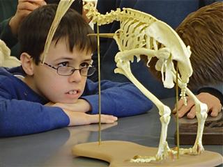 Adam studies an avian skeleton