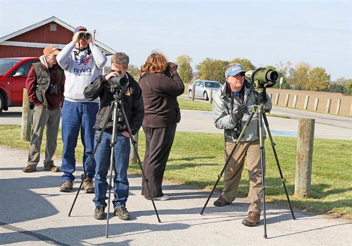 Avids scan the skies -- and the dikes -- for the reported prairie falcon, but alas, we scanned in vain.