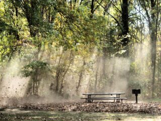 Blacklick Woods (photo Connie Mastenbrook)