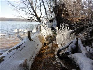 Nature's ice sculpture at Clear Fork Reservoir