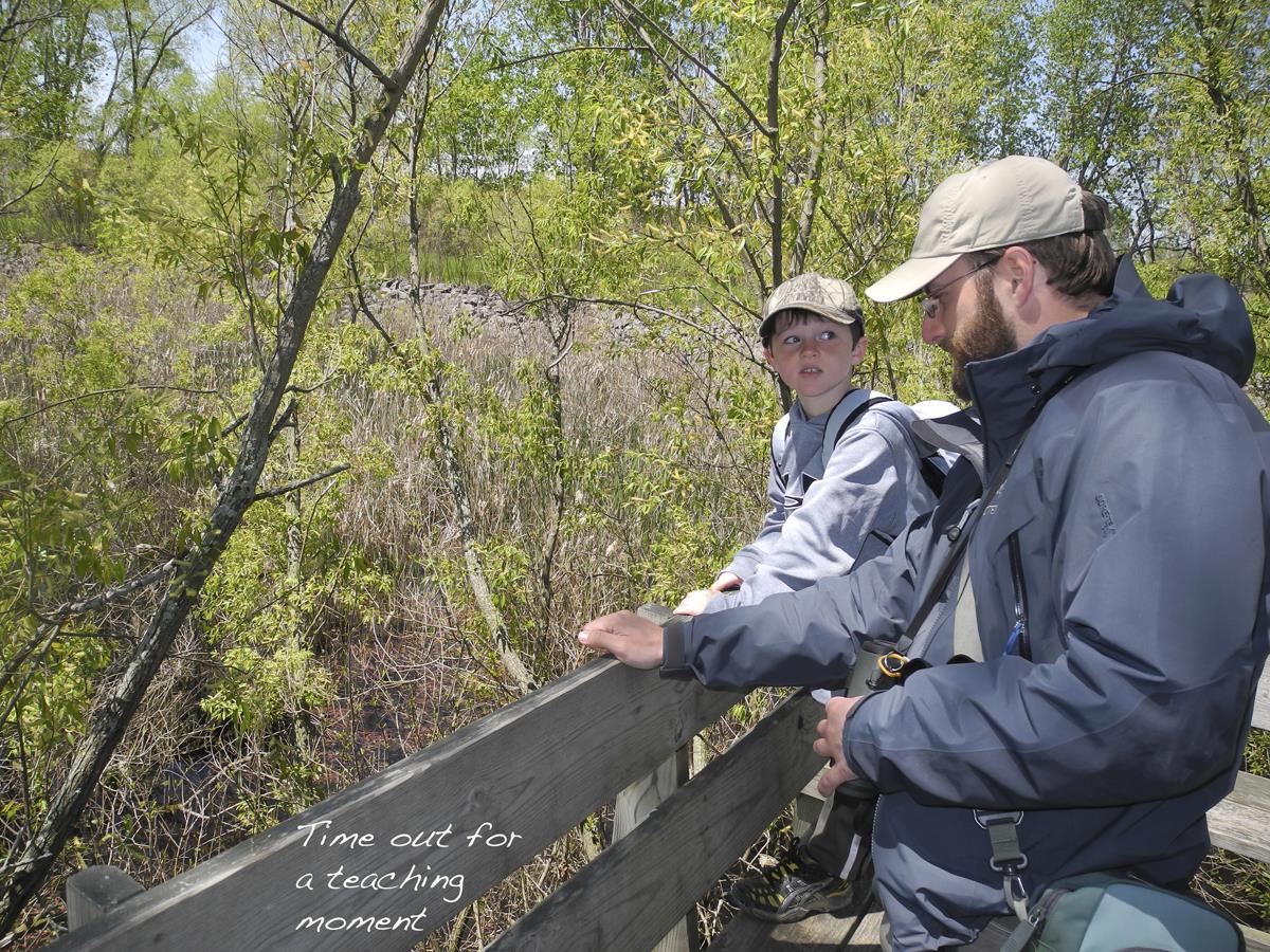 A teaching moment on the boardwalk: Ben helps a young birder with a tough identification. (Photo Tom Sheley)