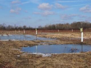 Leonardsburg Marsh