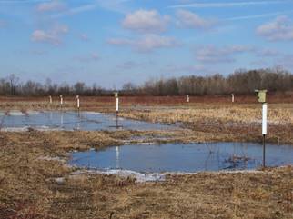 Leonardsburg Marsh