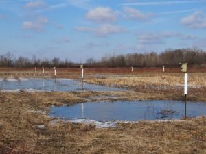 Nest boxes at Leonardsburg Marsh near Delaware