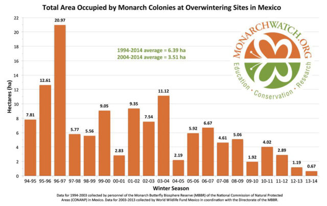 Monarch Population Graph 2013-14