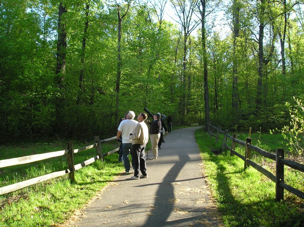 Blendon Woods Lake Trail