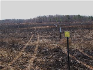 Fire management of grasslands and Tree Swallow nestbox grids are compatible. The Ohio Division of wildlife burned this field hosting the Panhandle Road Grid (PRG)in the Delaware Wildlife Area on 16 March 2009. The PVC raccoon guards and nestboxes were reattached to their posts two days later. All boxes raised swallows that season.