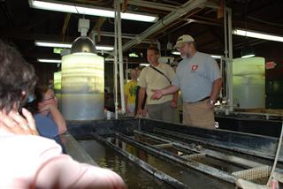 Inside the Columbus Zoo mussel research facility